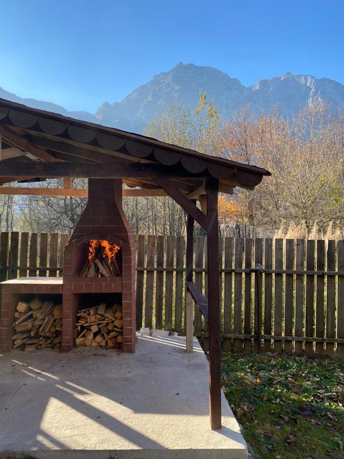 B House Buşteni Buitenkant foto