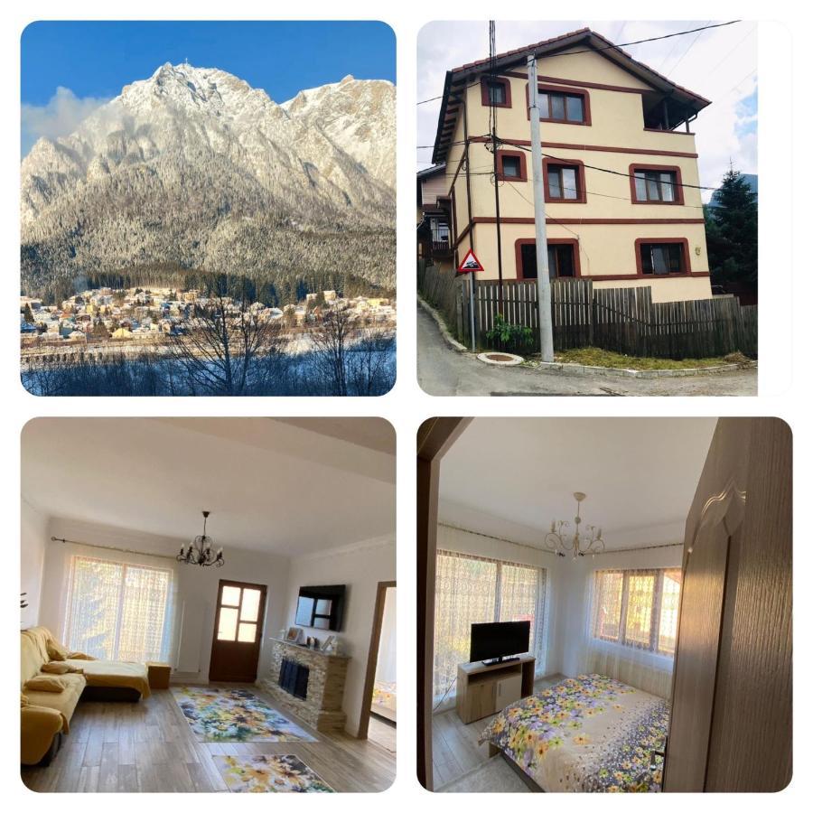 B House Buşteni Buitenkant foto