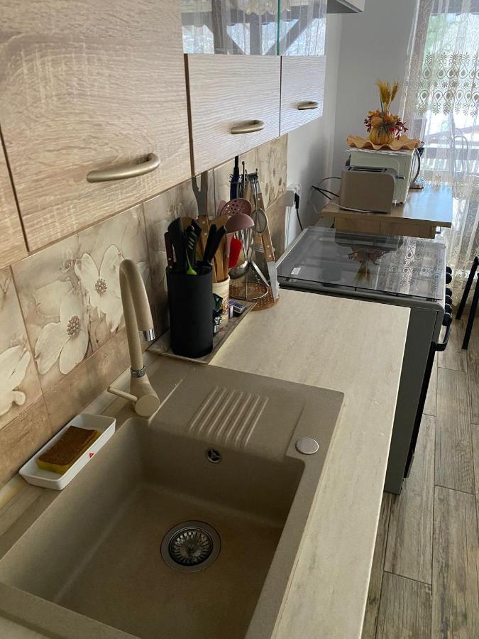 B House Buşteni Buitenkant foto
