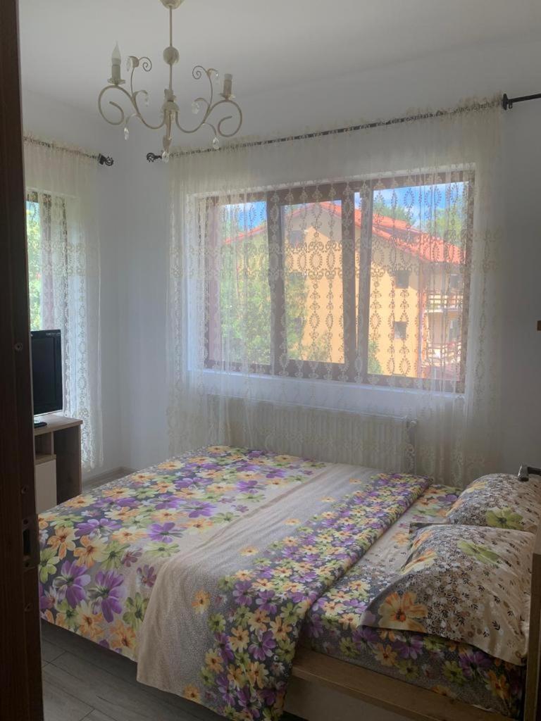 B House Buşteni Buitenkant foto