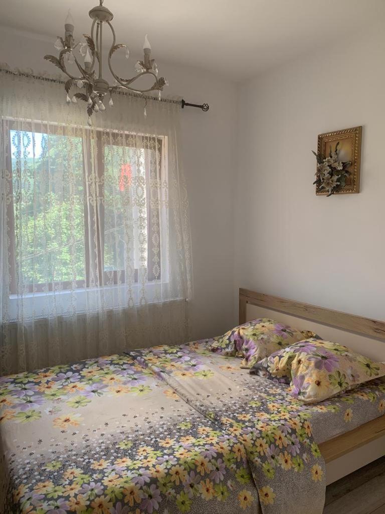 B House Buşteni Buitenkant foto